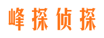 宝应市私家侦探